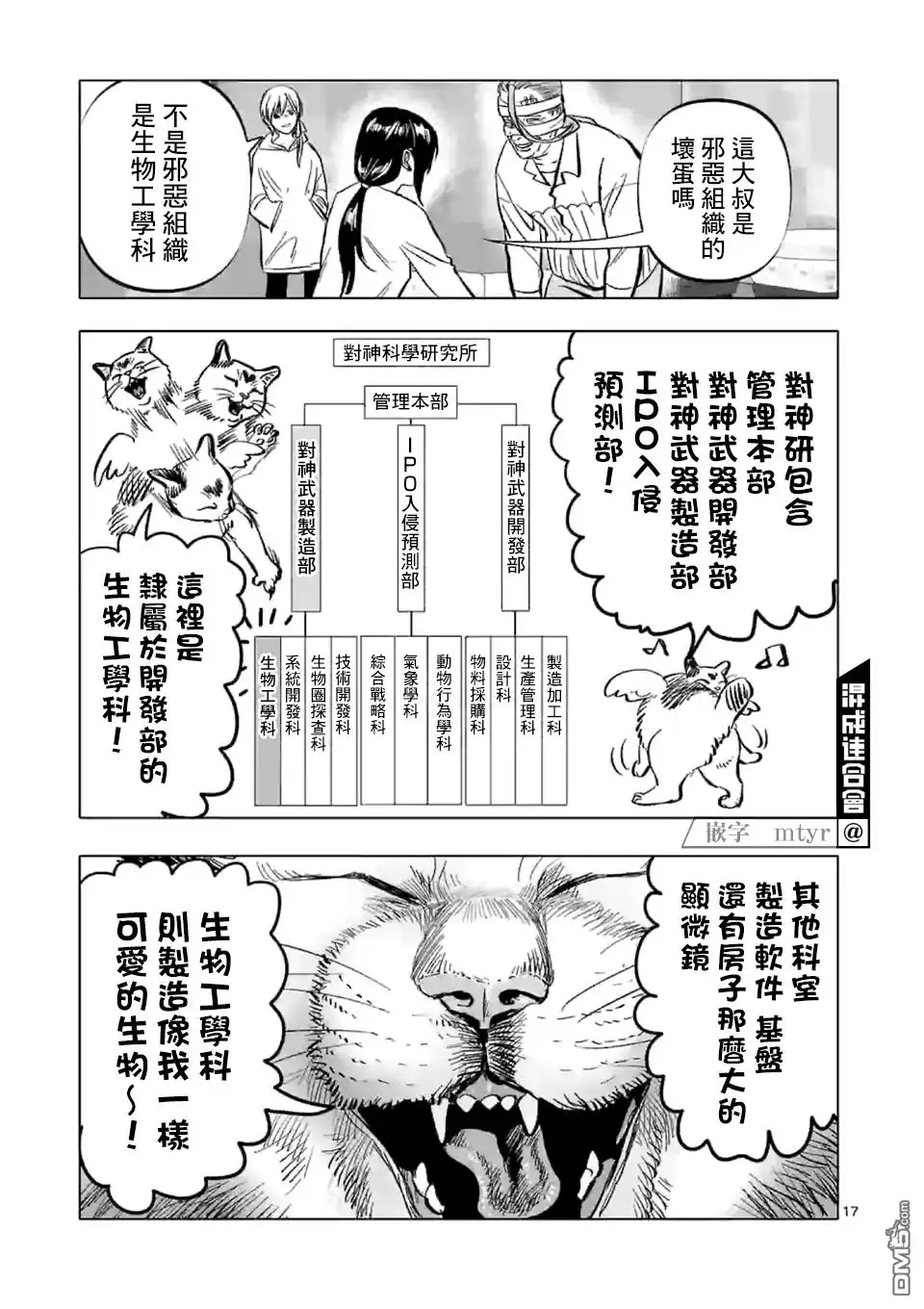 第17页