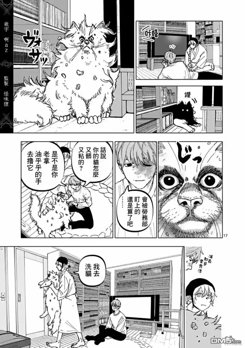 第17页