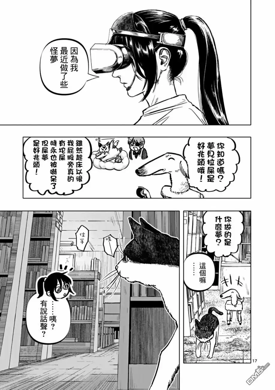 第17页