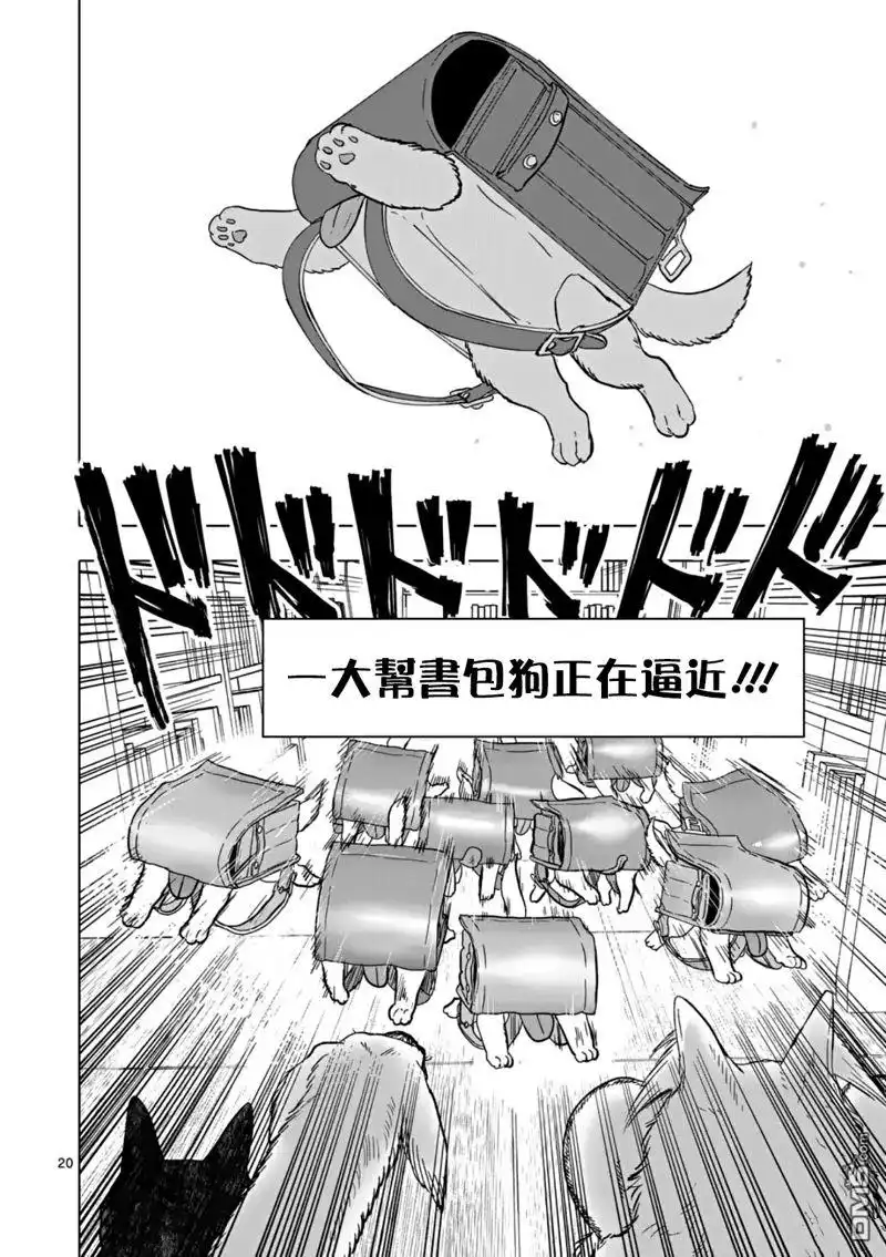 第20页