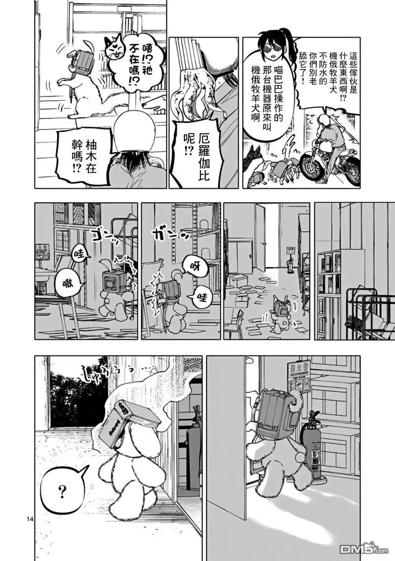 第14页