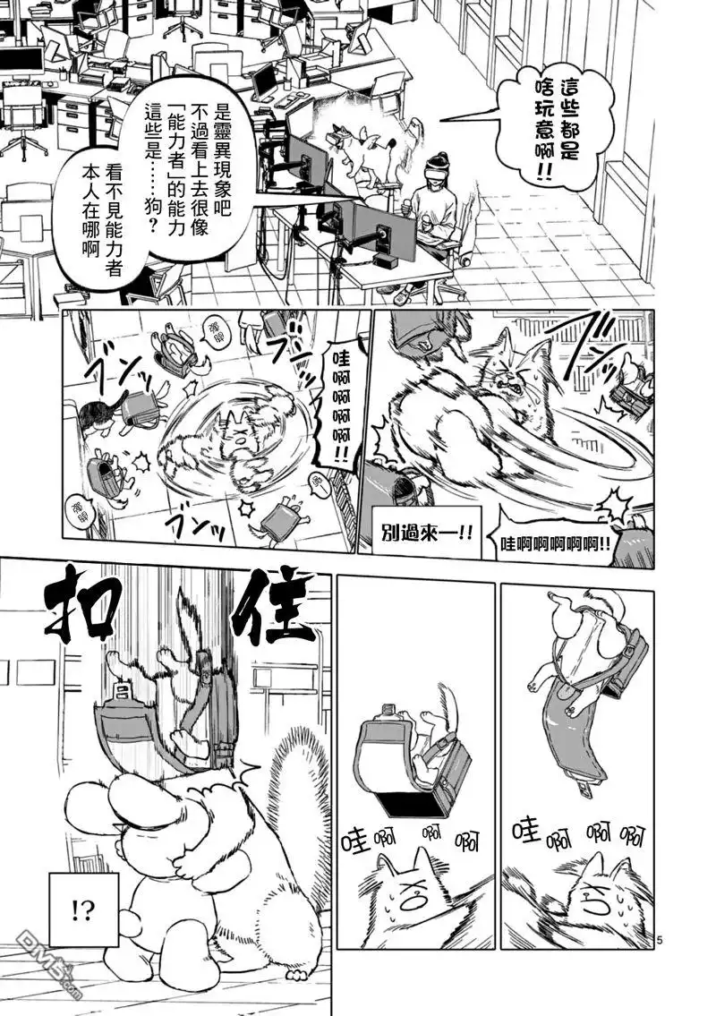 第5页