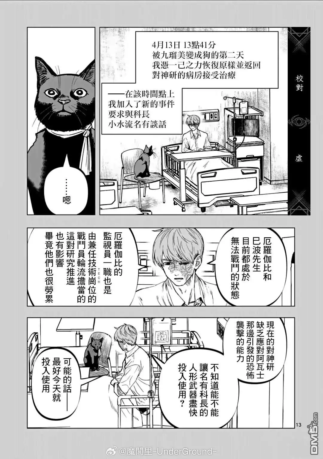 第13页