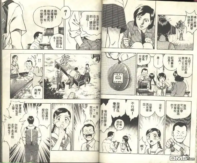 第43页