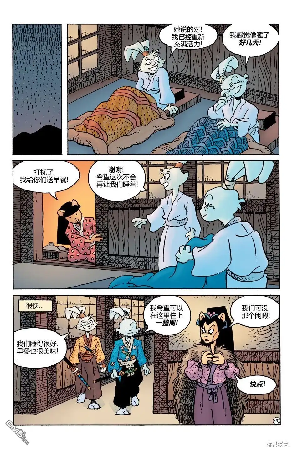 第17页
