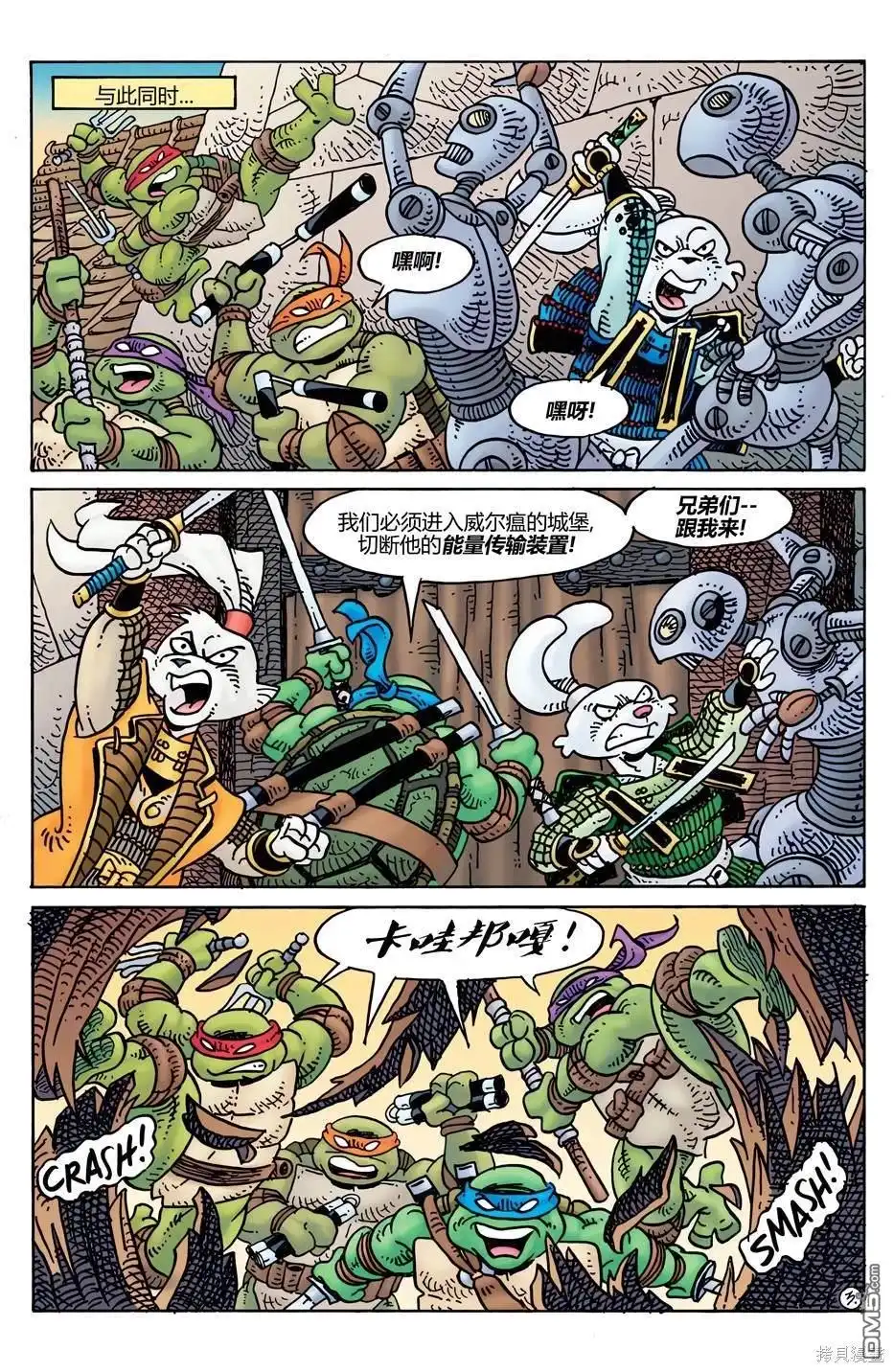 第5页