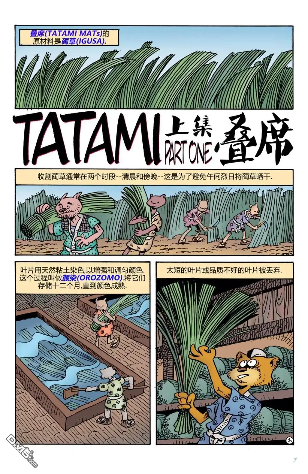 第5页