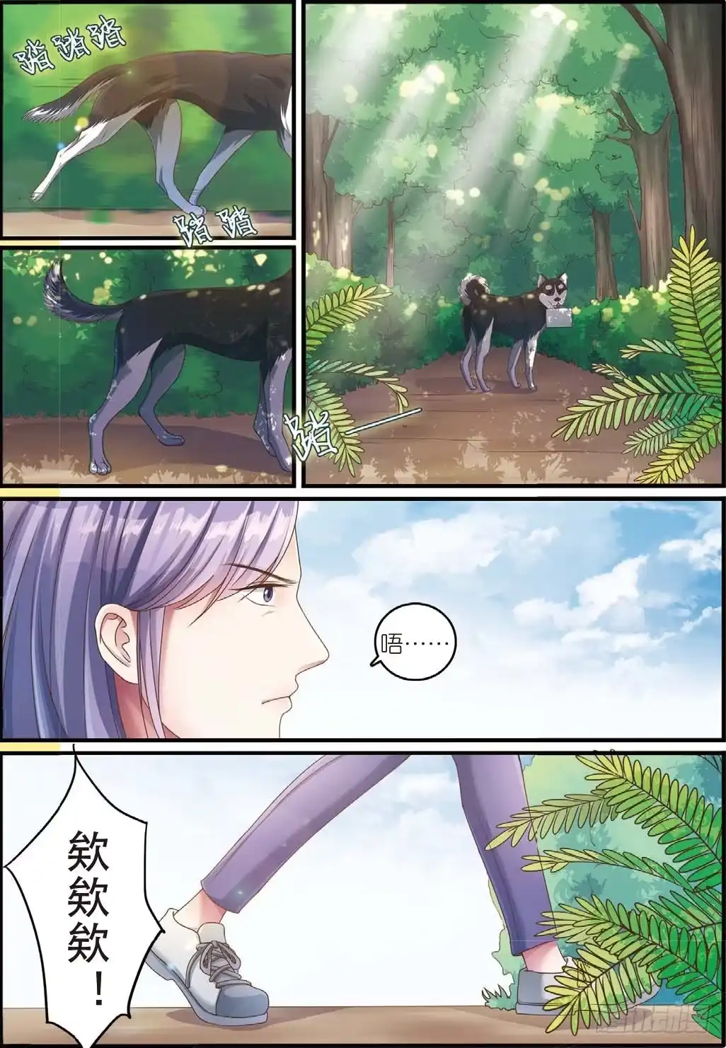 第3页