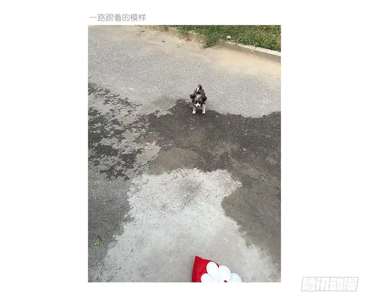 第57页