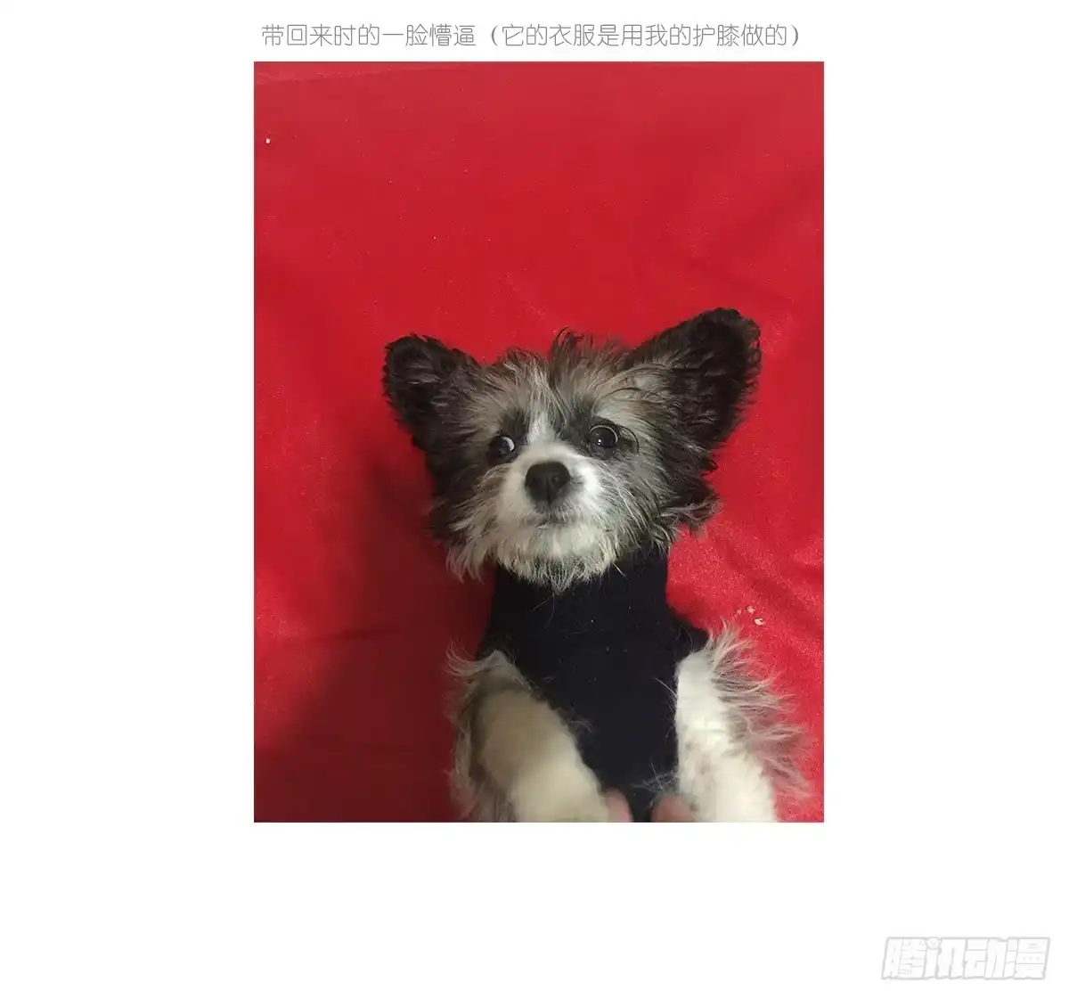 第59页