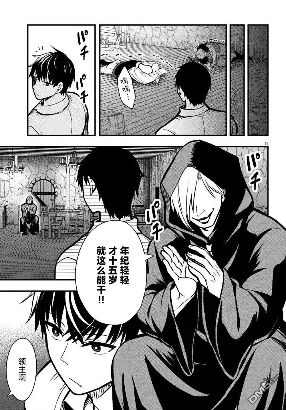 第17页