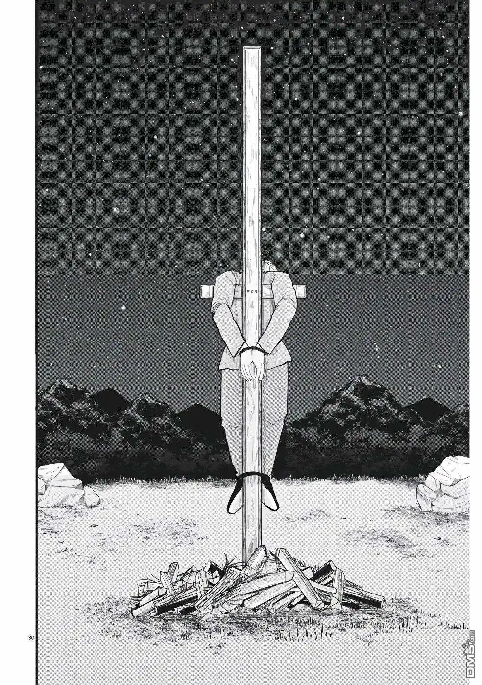 第30页