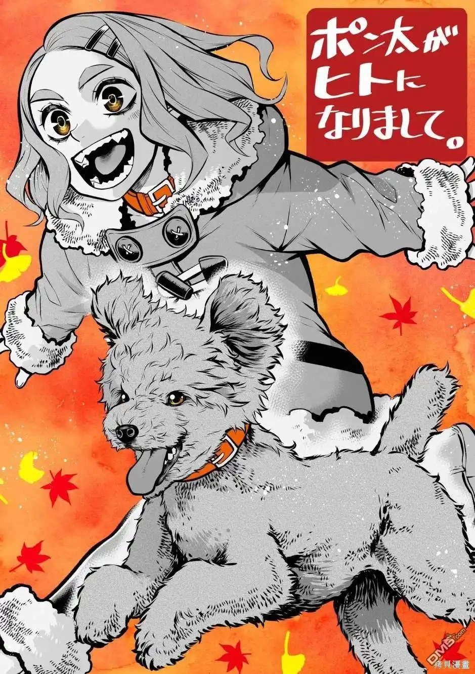 第11页