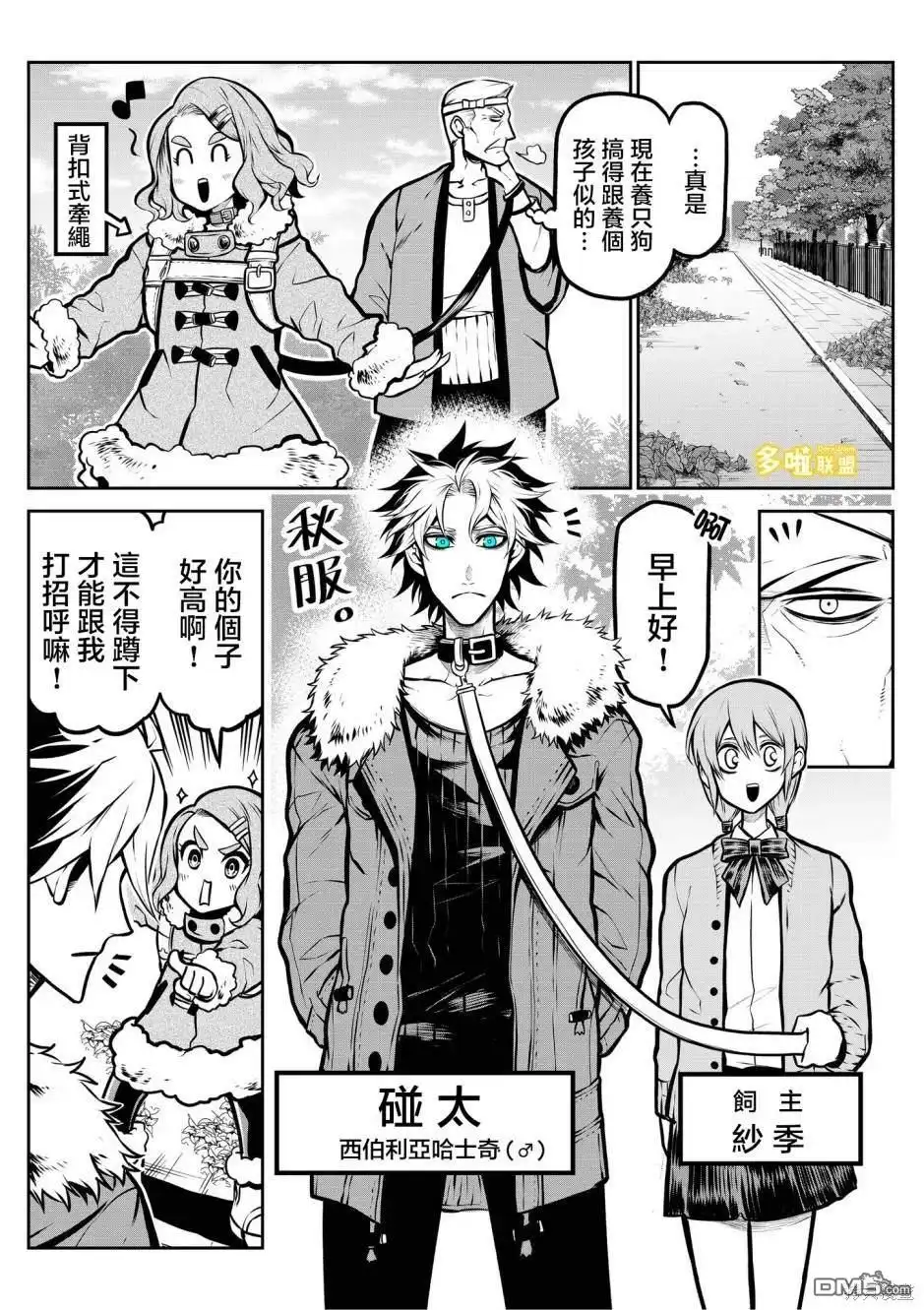 第5页