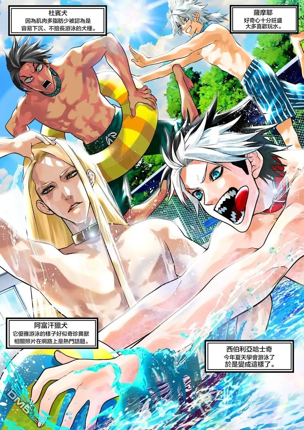 第16页