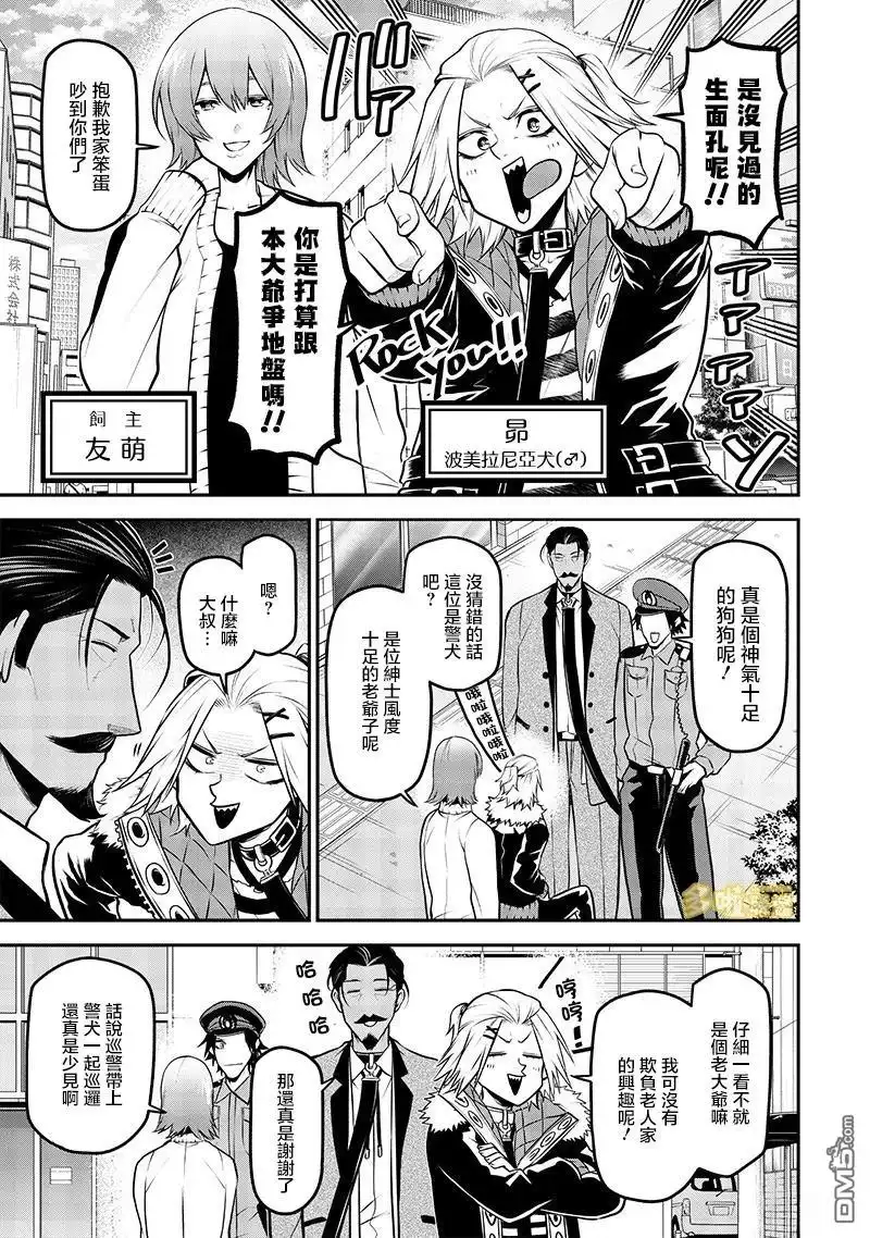 第3页