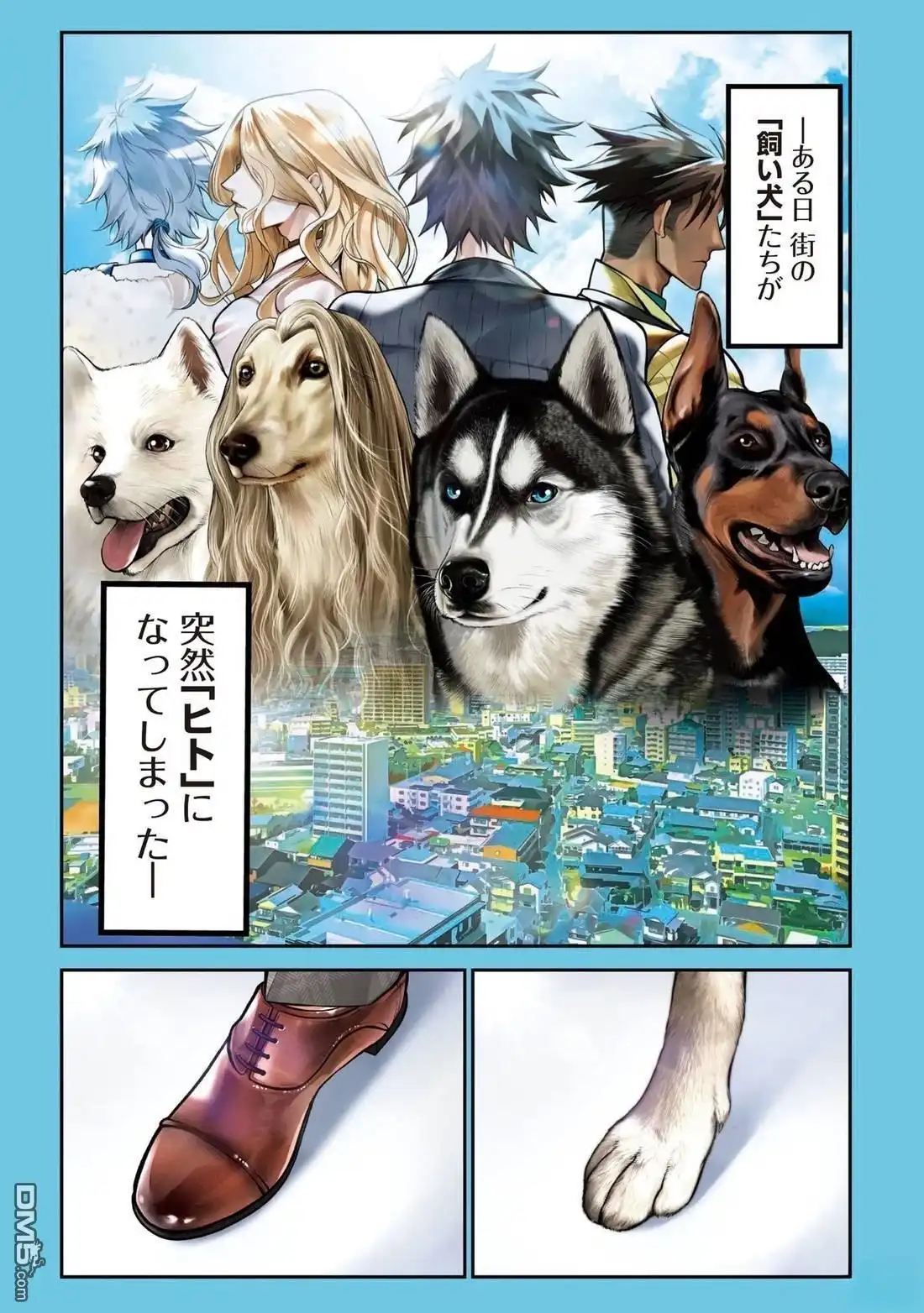 第2页