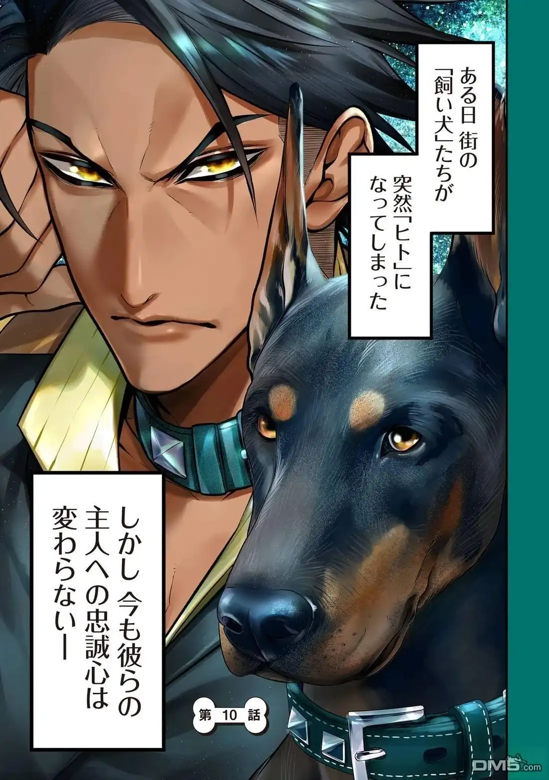 第7页