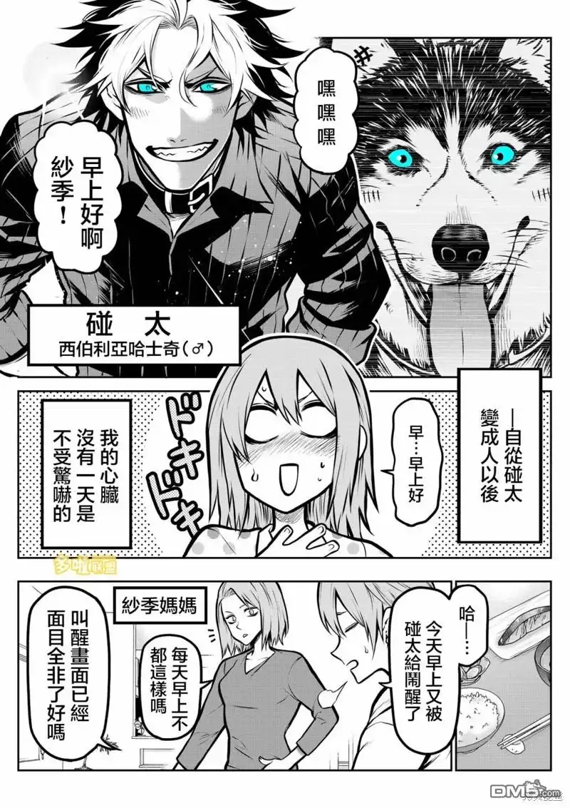 第3页