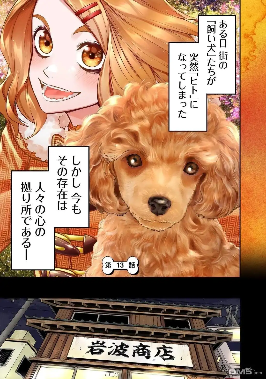 第20页