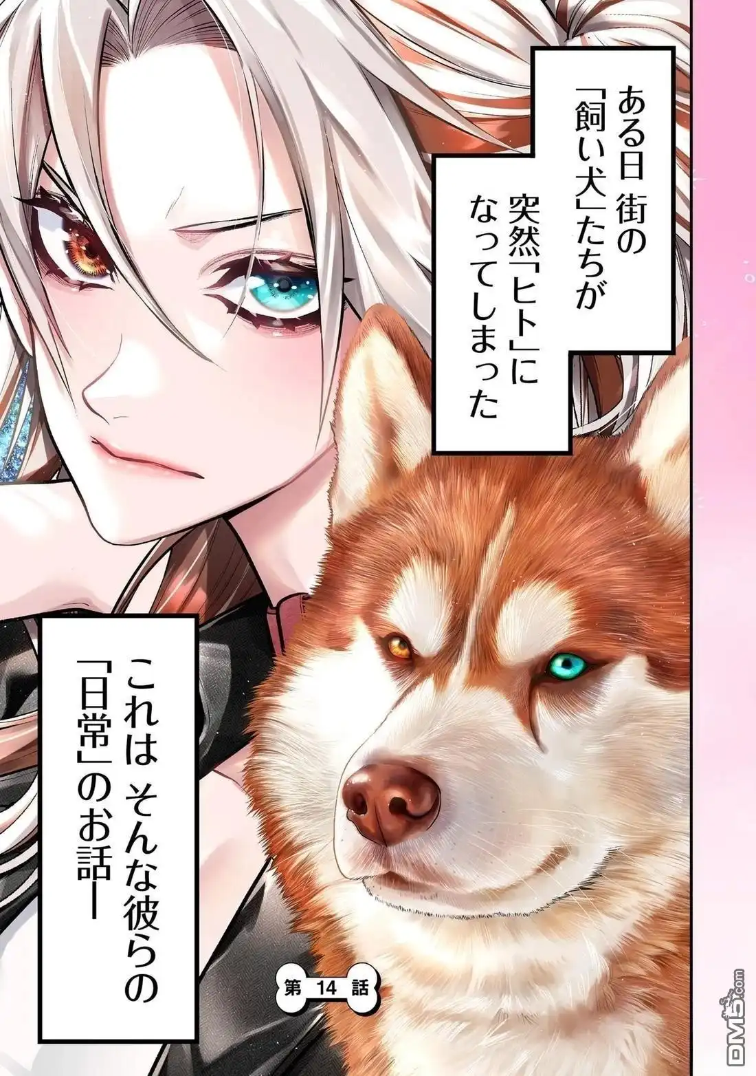第21页