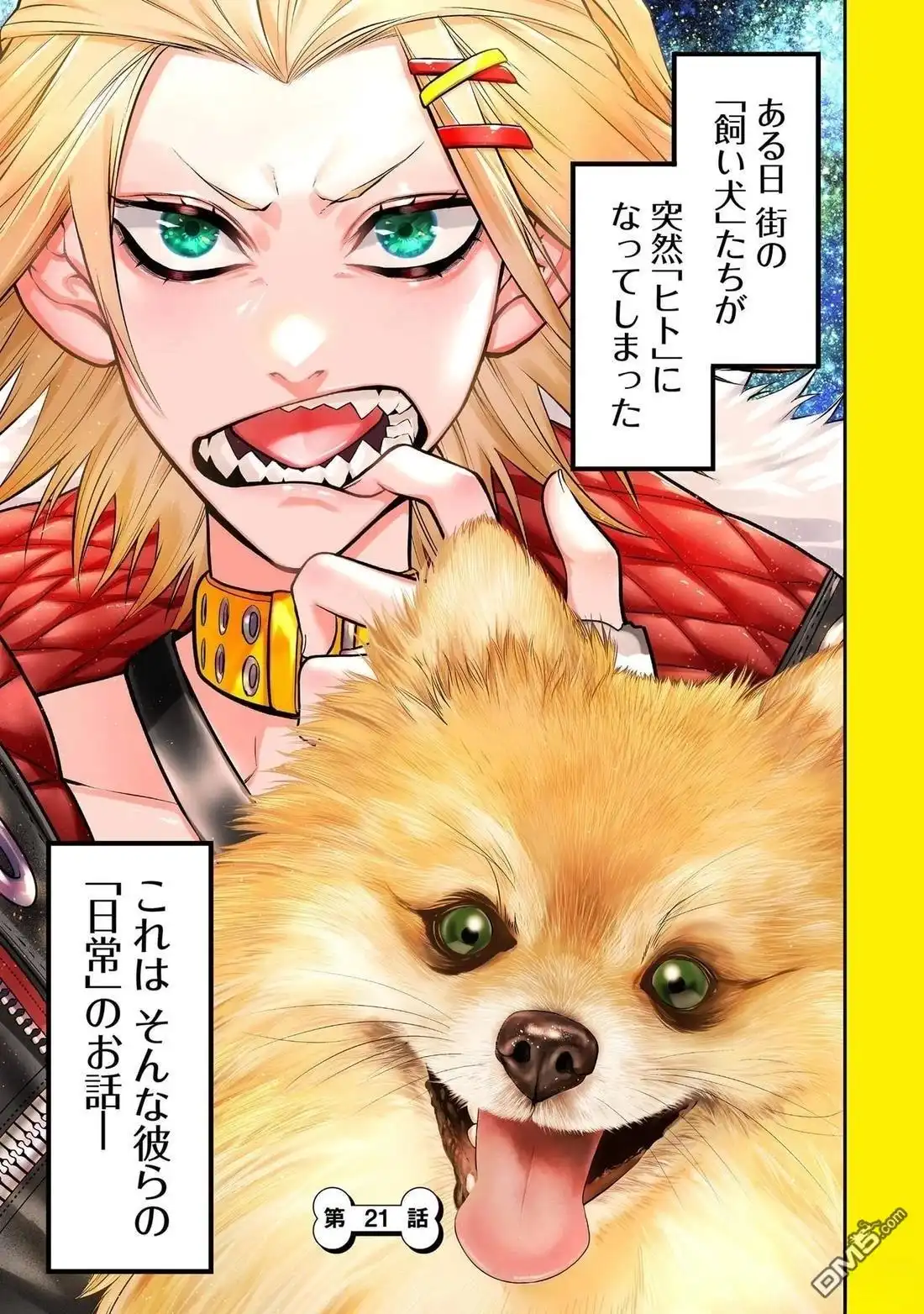 第23页