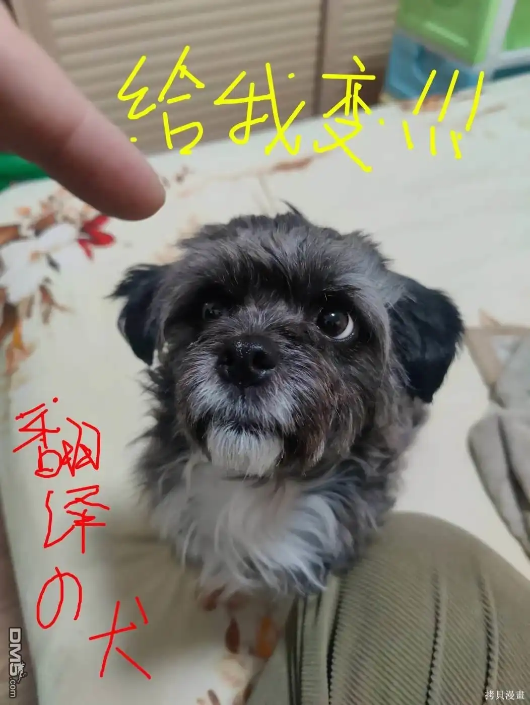 第13页