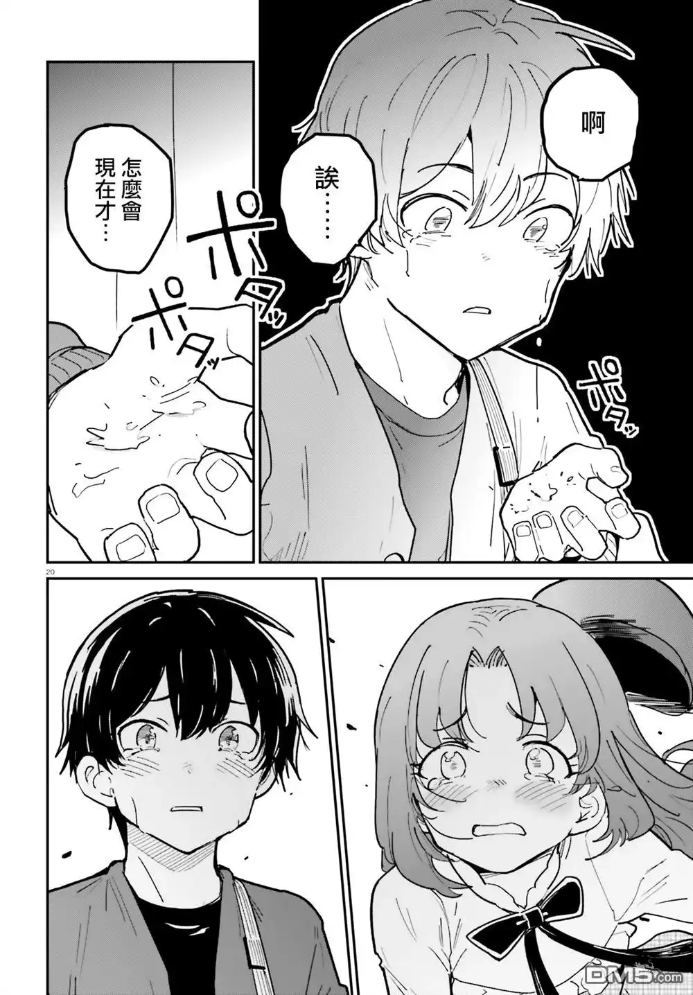 第20页
