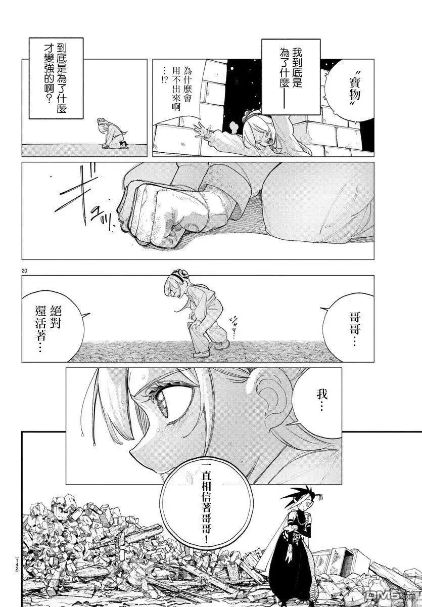 第20页
