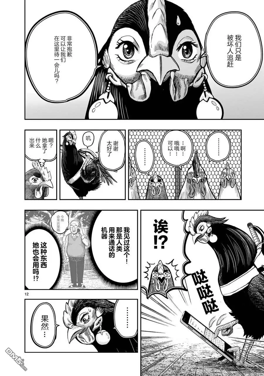 第12页