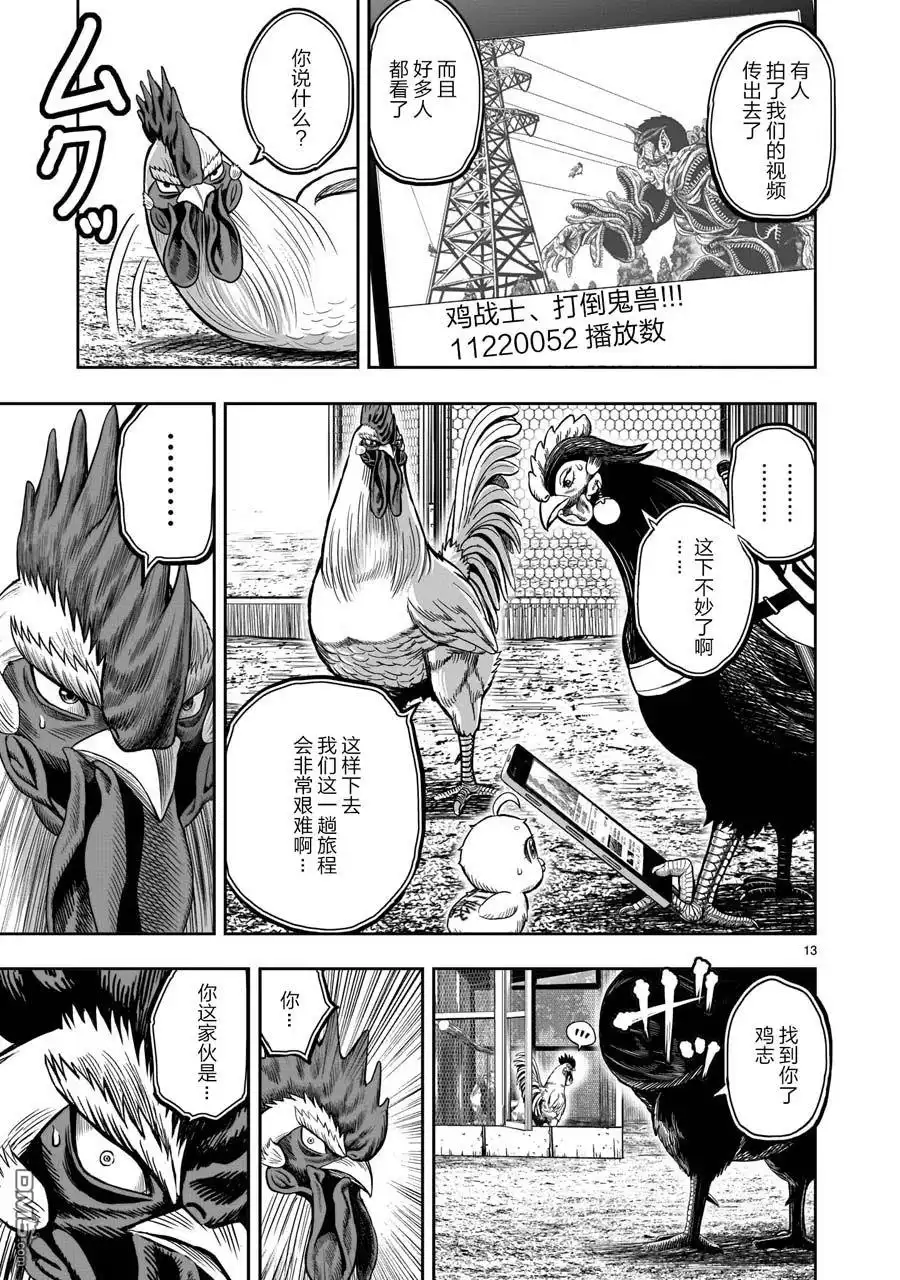 第13页
