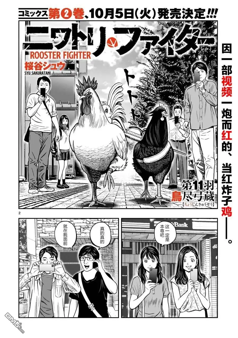 第2页