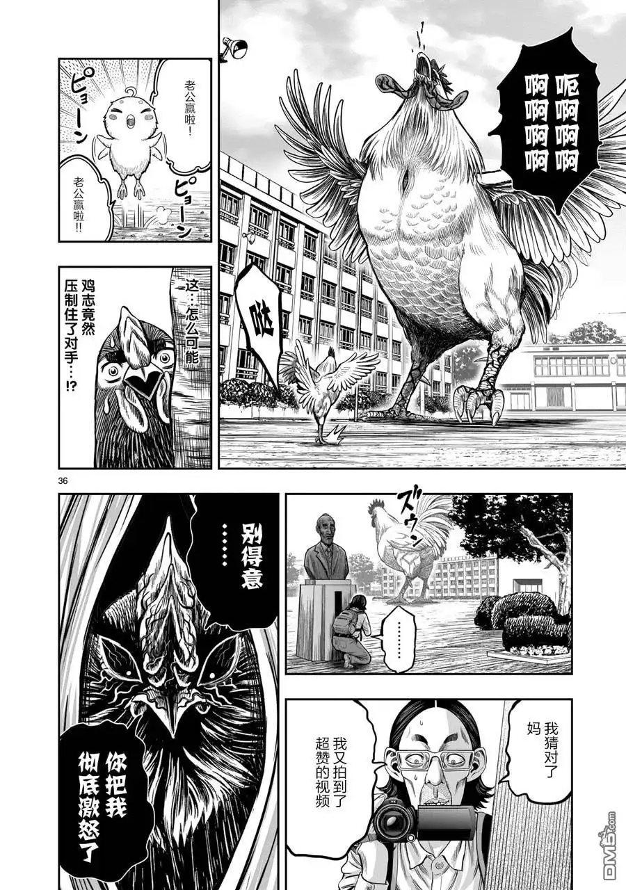 第36页