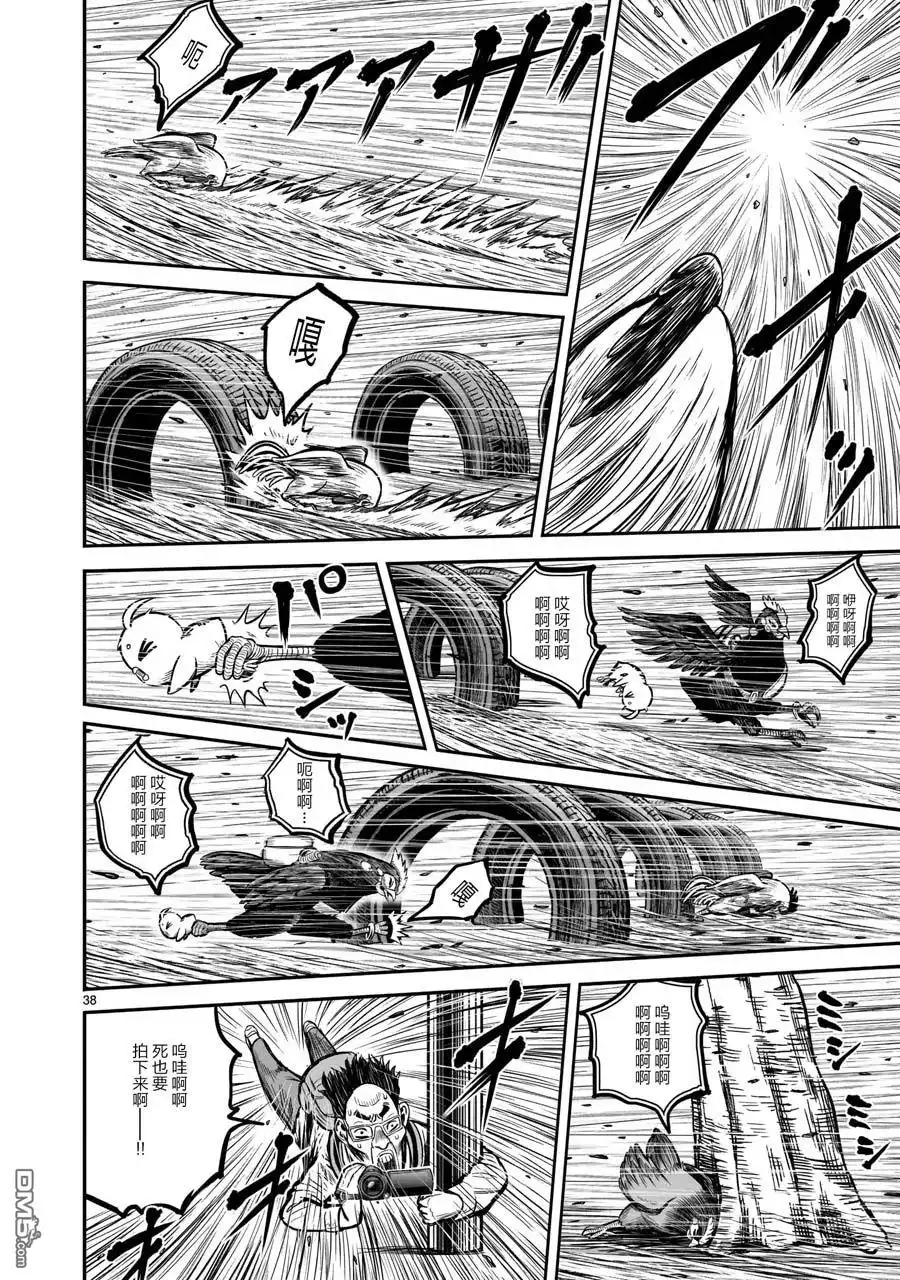 第38页