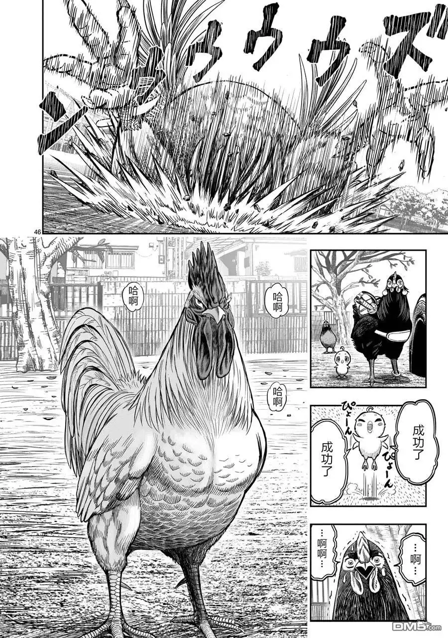 第46页