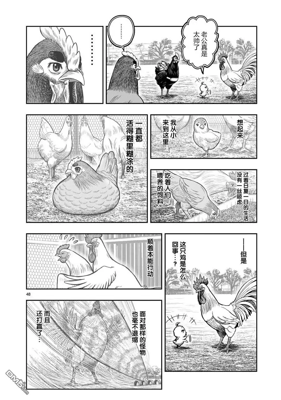 第48页