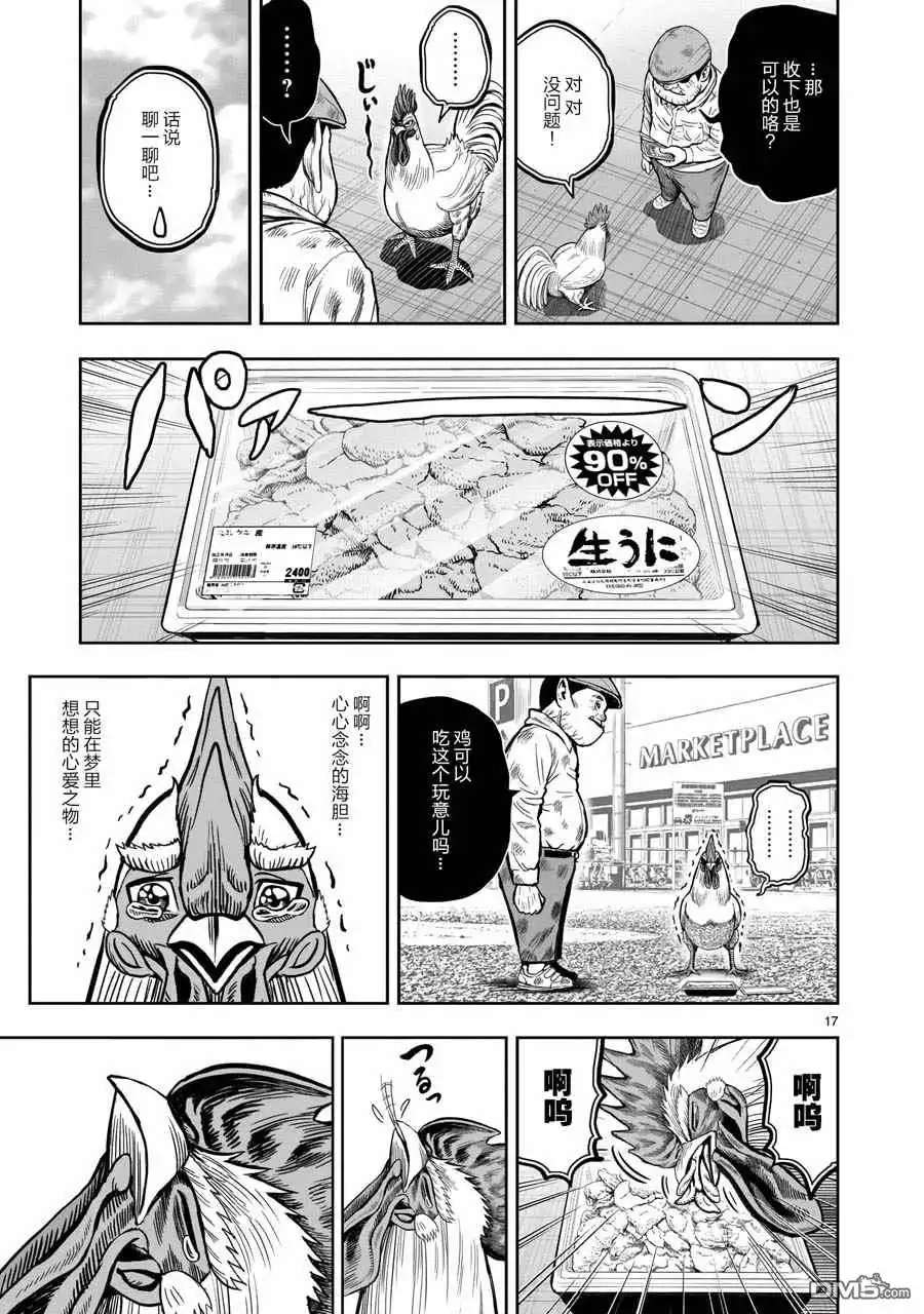 第17页