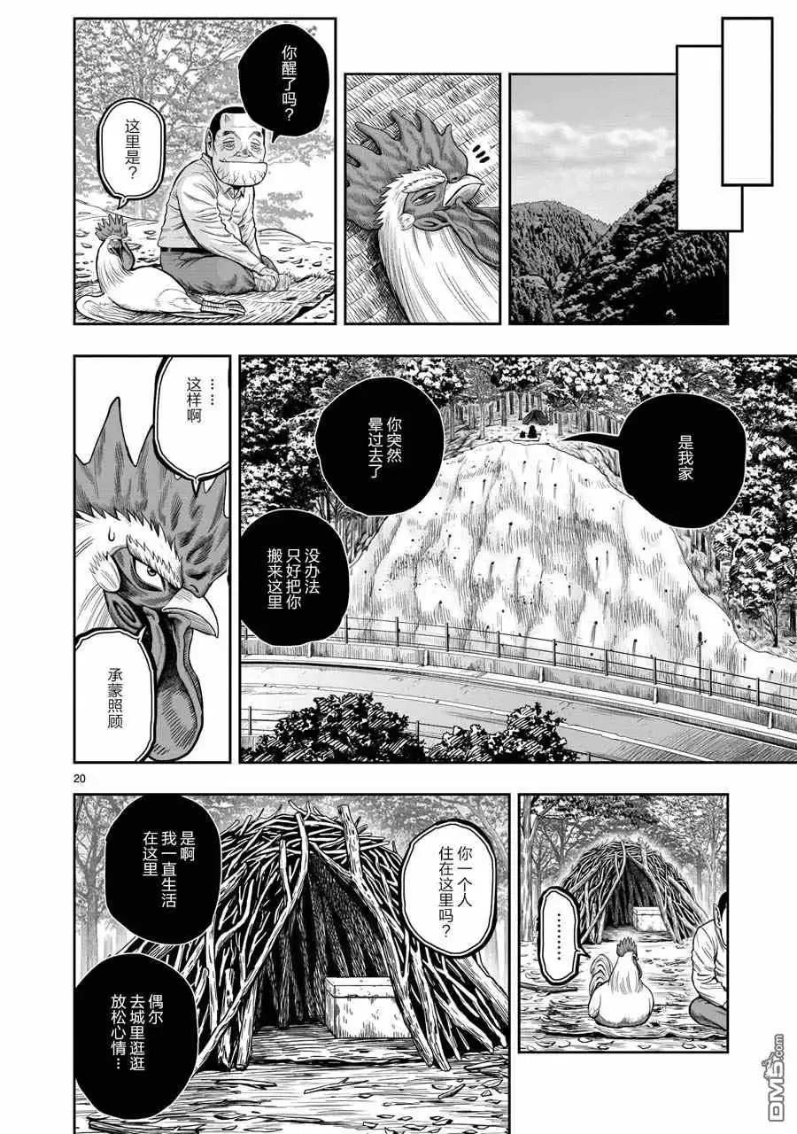 第20页