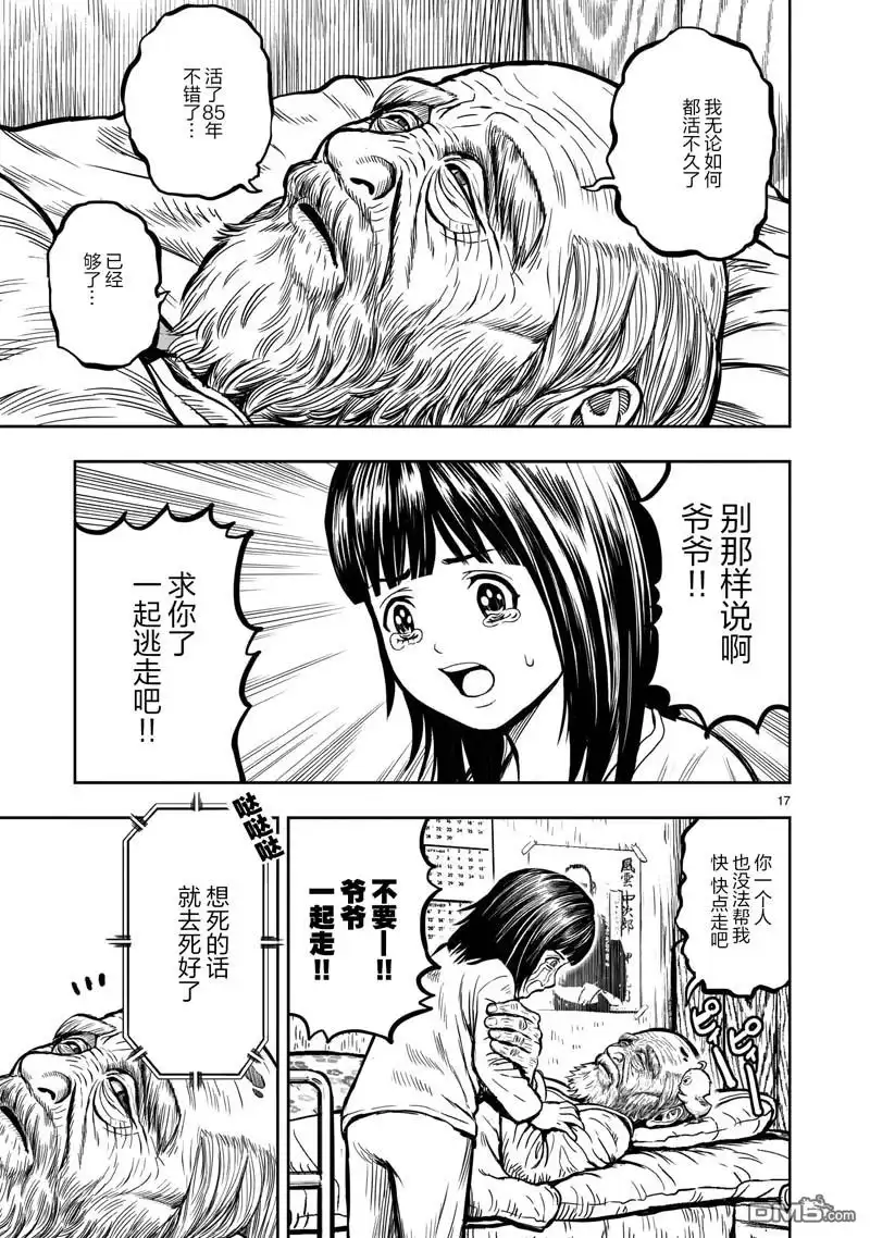 第17页