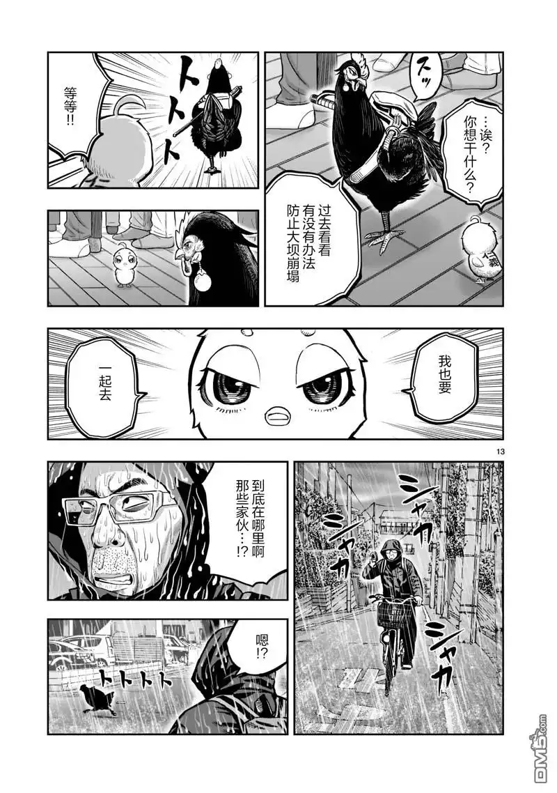 第13页