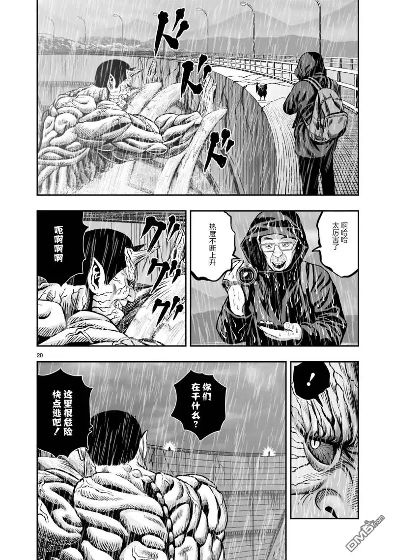 第20页