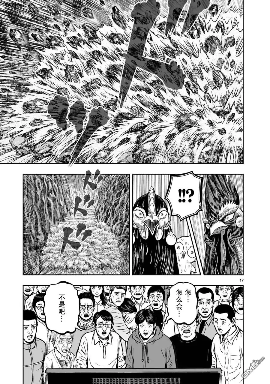 第17页