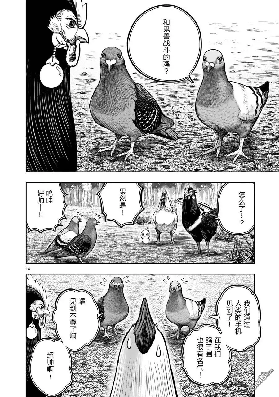 第14页