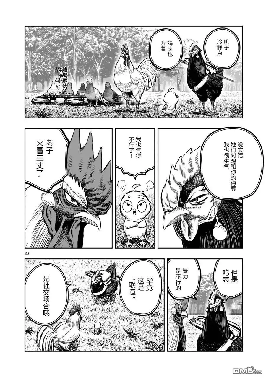 第20页