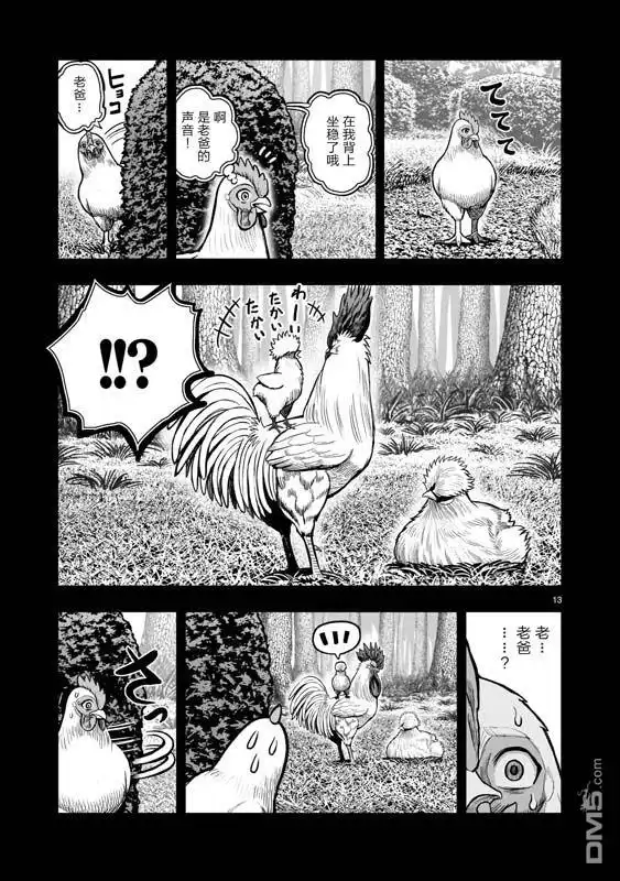 第13页
