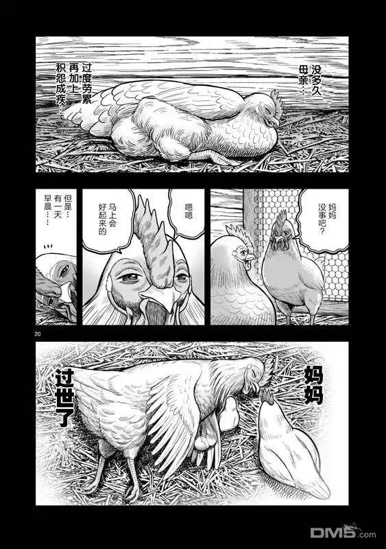 第20页