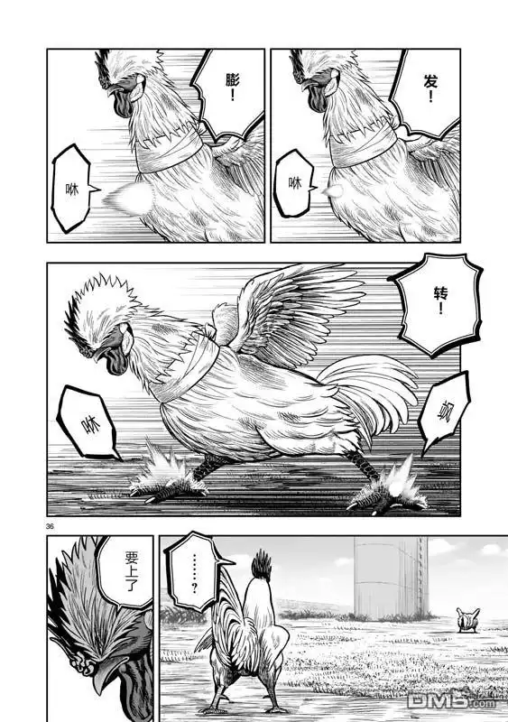 第36页