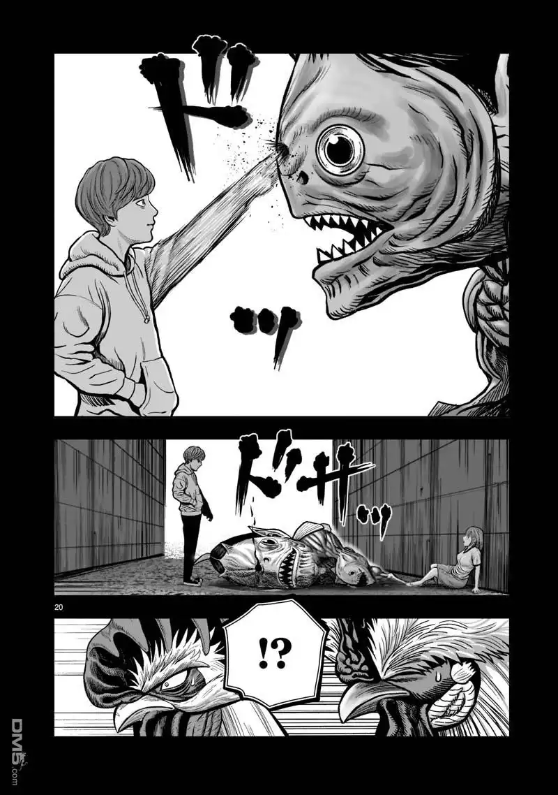 第20页