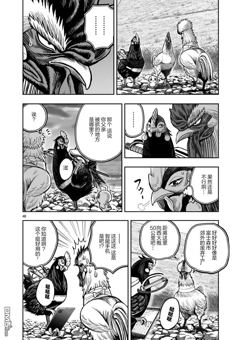 第48页