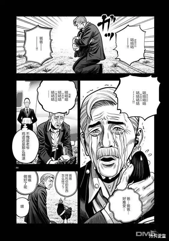 第43页